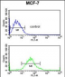 G6PD Antibody (Center)
